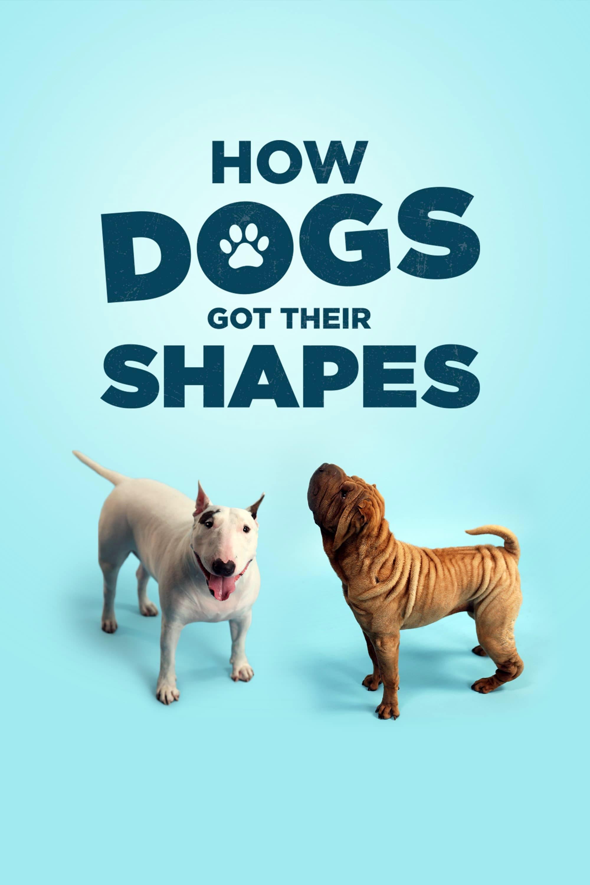 How Dogs Got Their Shapes poster