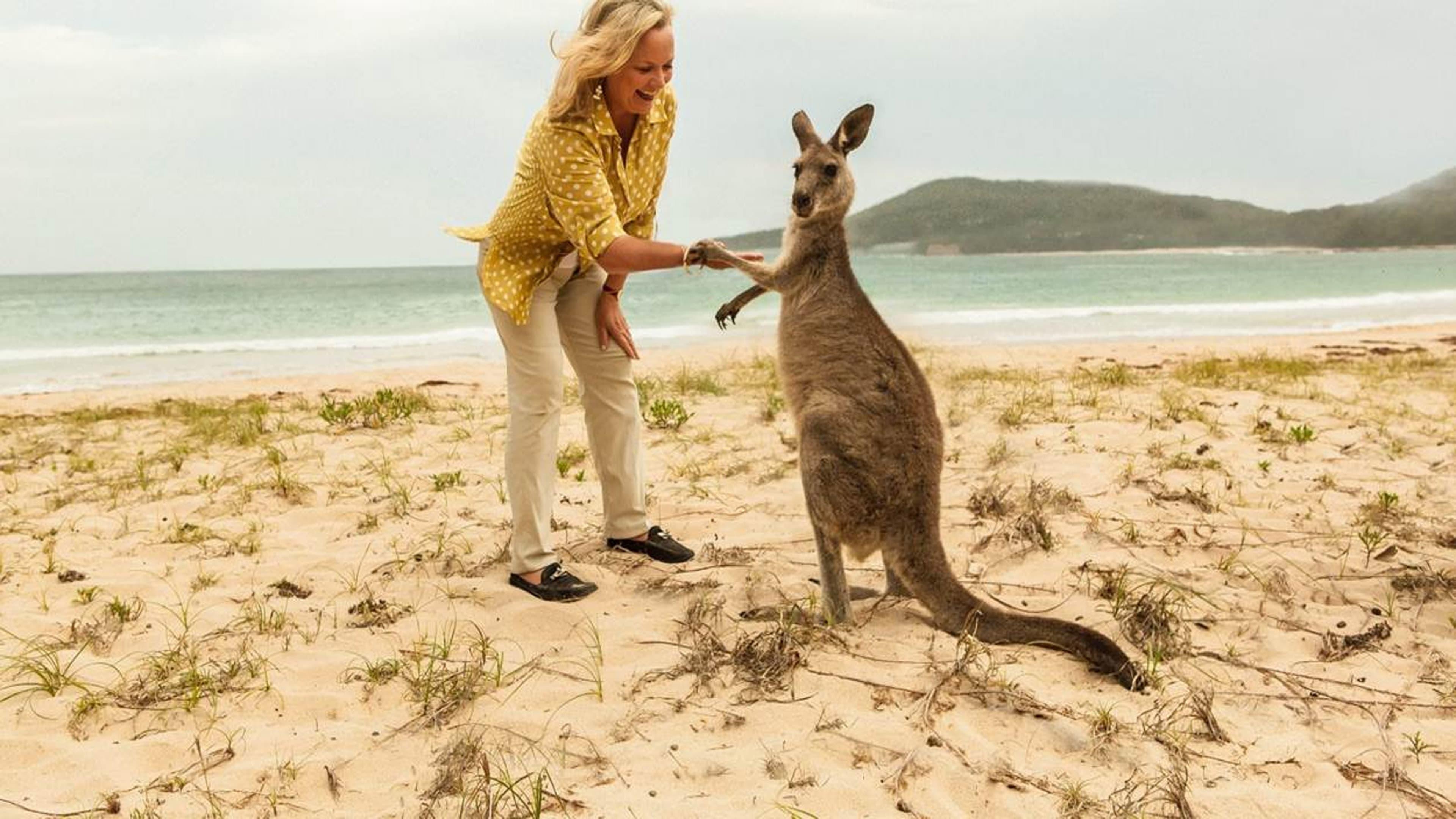 Lyndey Milan’s Taste of Australia backdrop