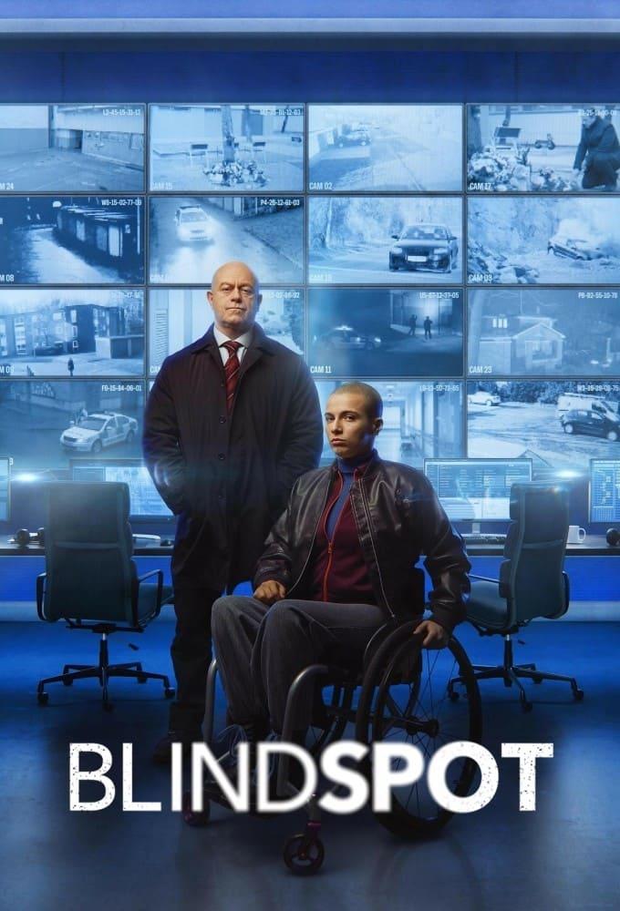 Blindspot poster