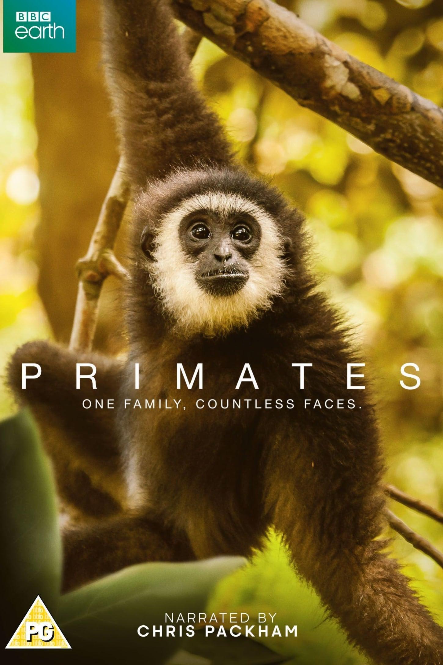 Primates poster
