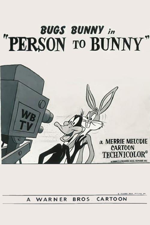 Person to Bunny poster