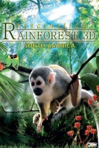 Fascination Rainforest 3D poster