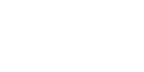 Detective Chen logo