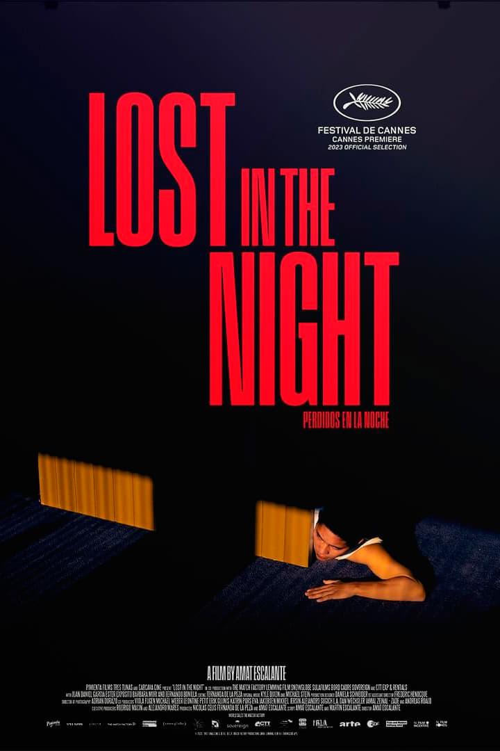 Lost in the Night poster