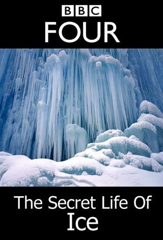 The Secret Life Of Ice poster