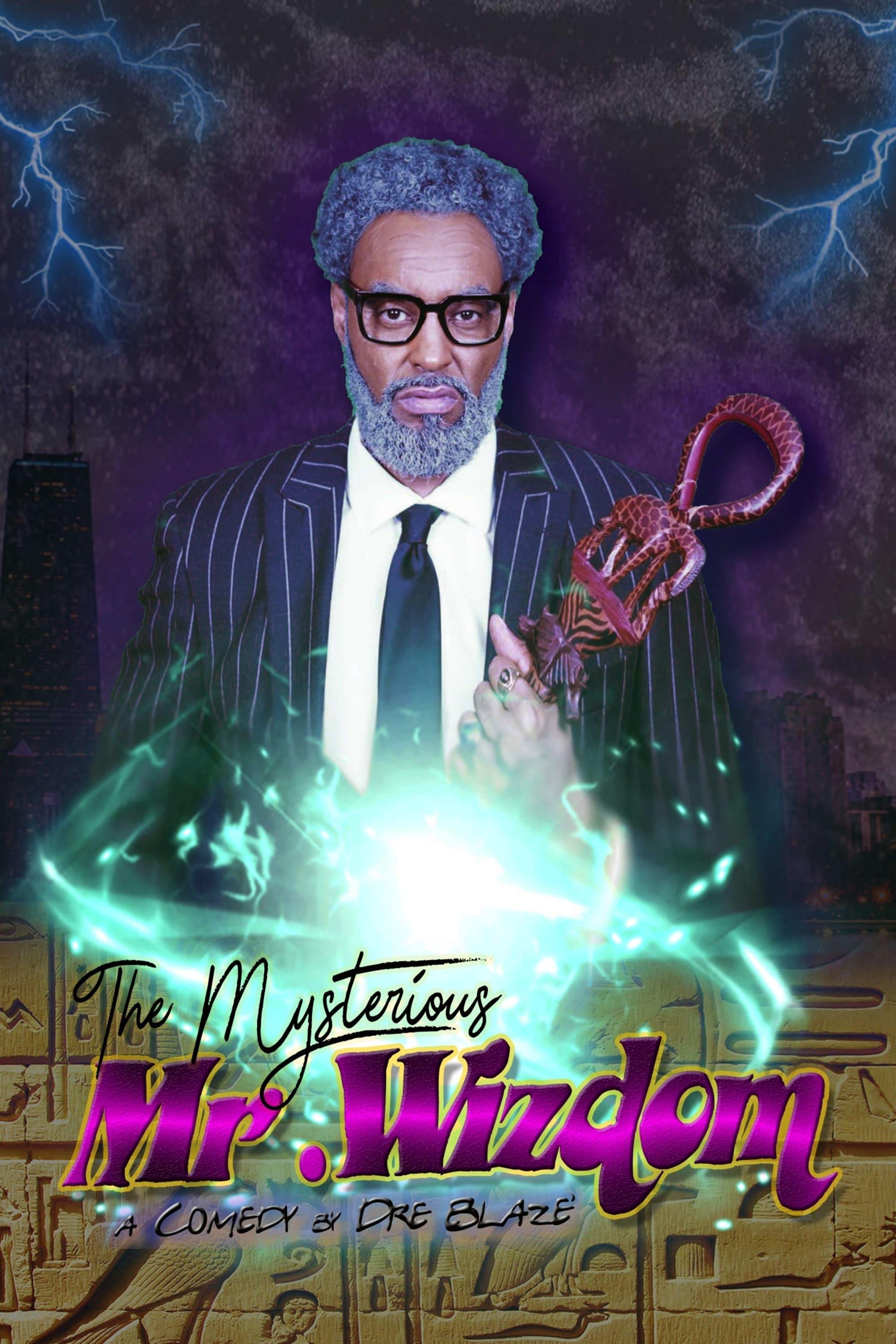 The Mysterious Mr. Wizdom poster