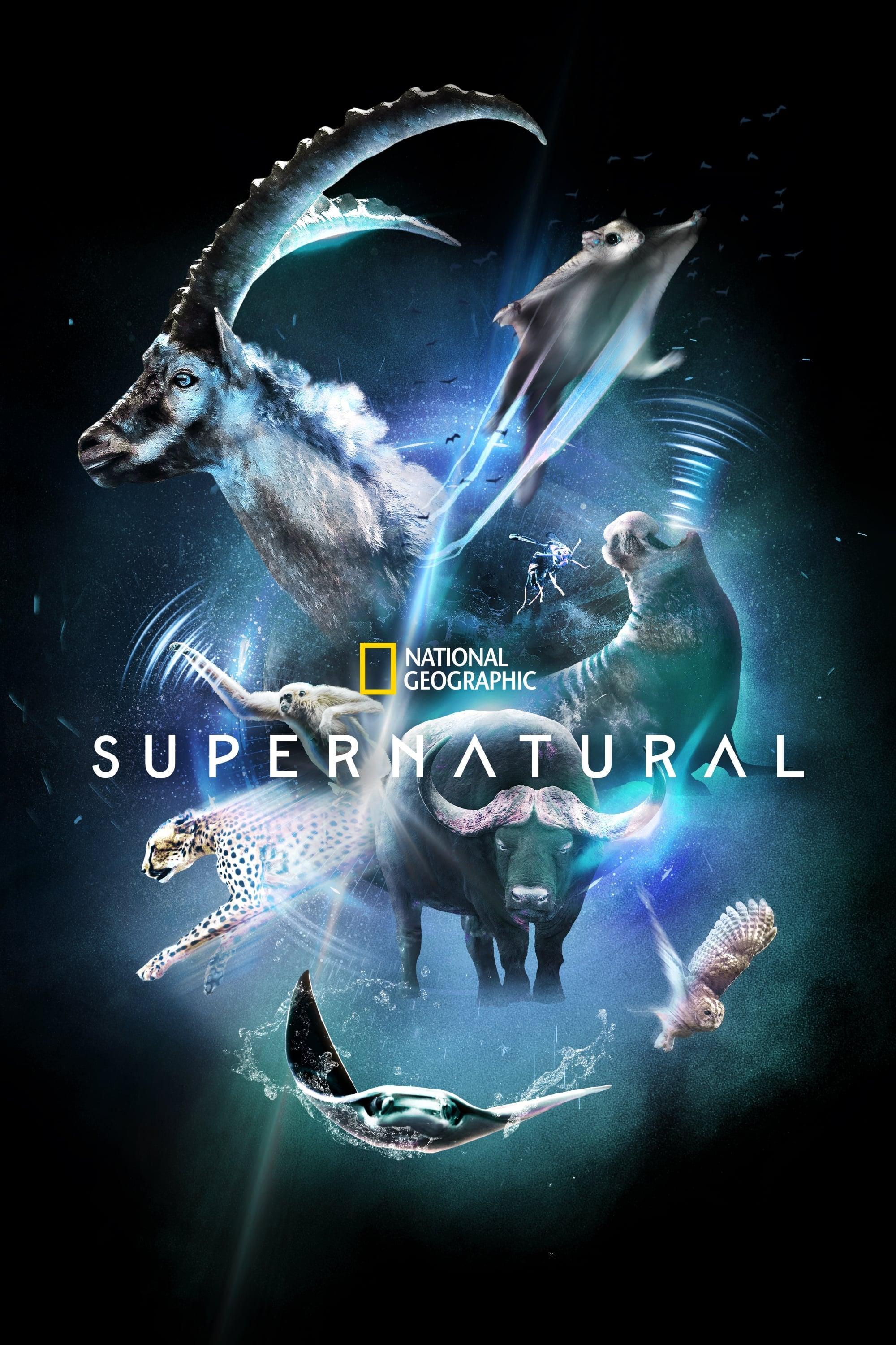 Super/Natural poster