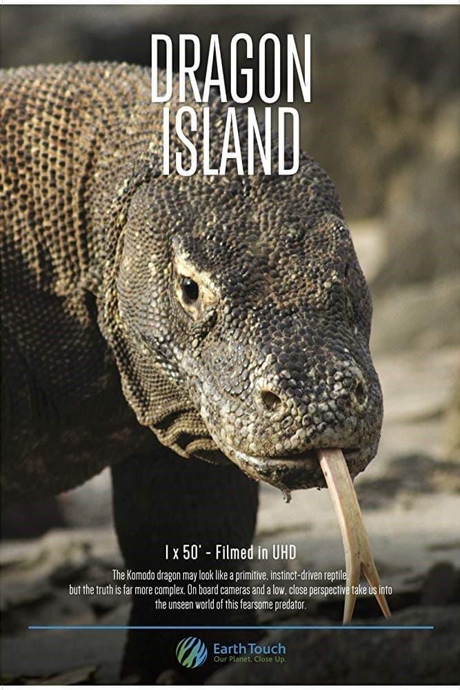 Dragon Island poster
