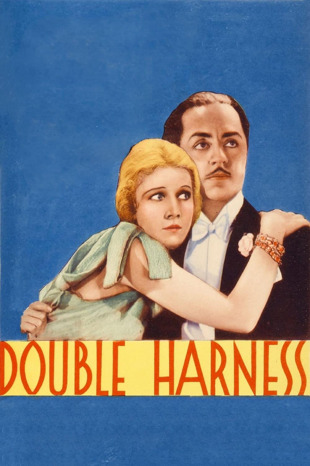 Double Harness poster