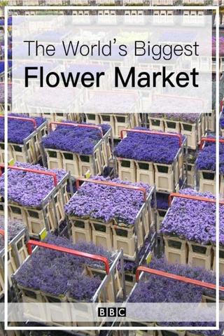 The World's Biggest Flower Market poster