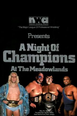NWA Night of Champions poster