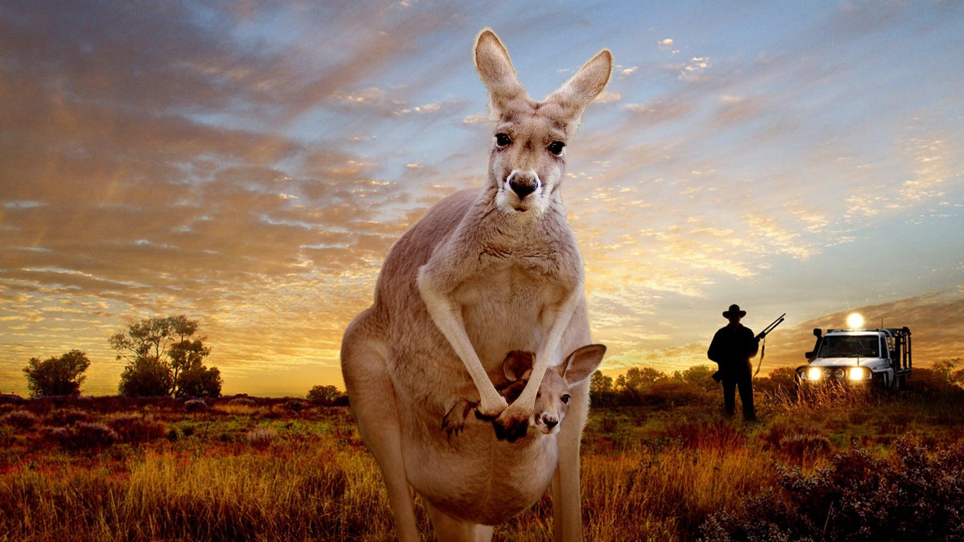 Kangaroo: A Love-Hate Story backdrop