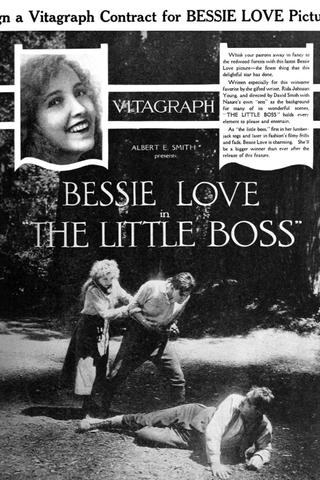 The Little Boss poster