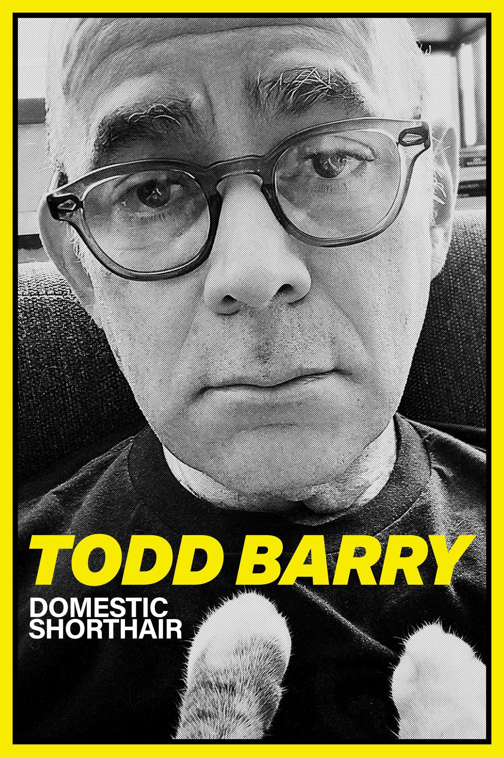 Todd Barry: Domestic Shorthair poster