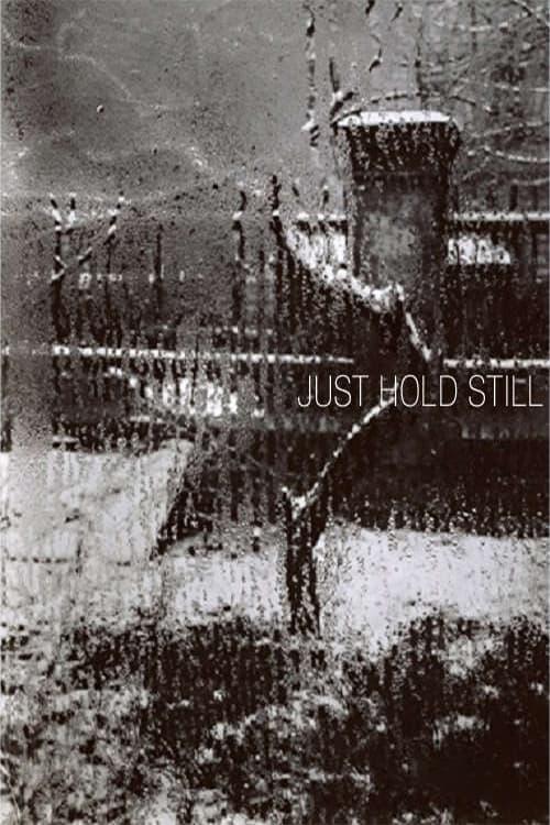 Just Hold Still poster