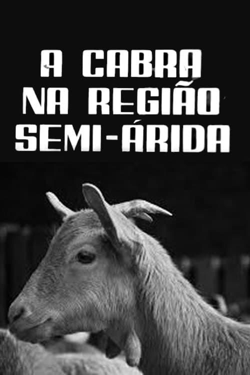 A Cabra na Região Semi-Árida poster