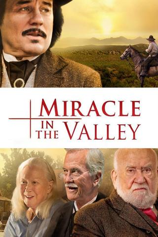 Miracle in the Valley poster