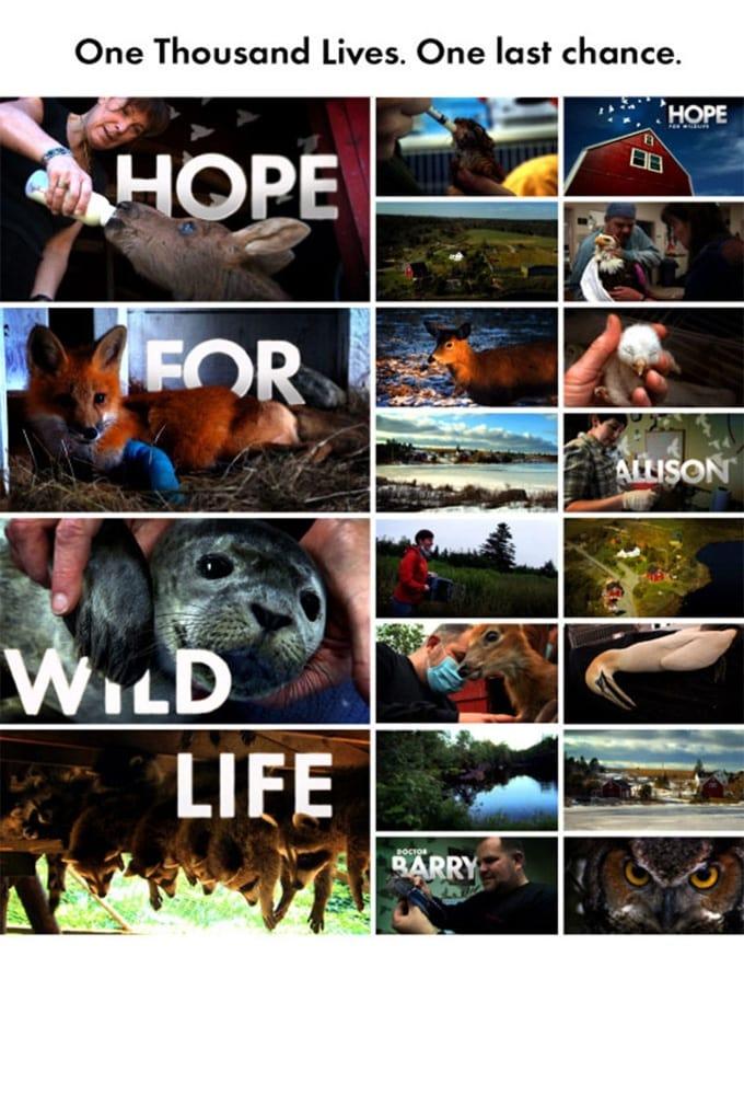 Hope for Wildlife poster