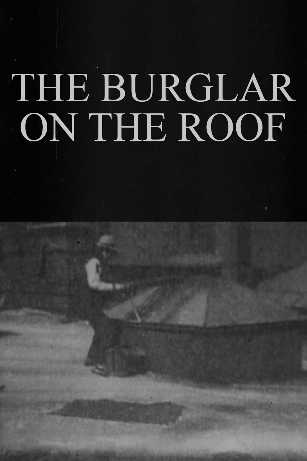 The Burglar on the Roof poster