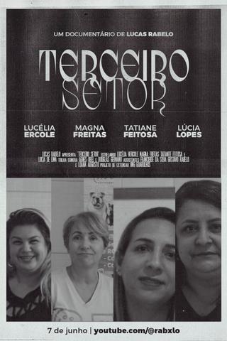 Terceiro Setor poster