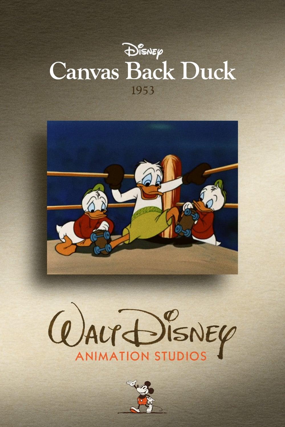 Canvas Back Duck poster