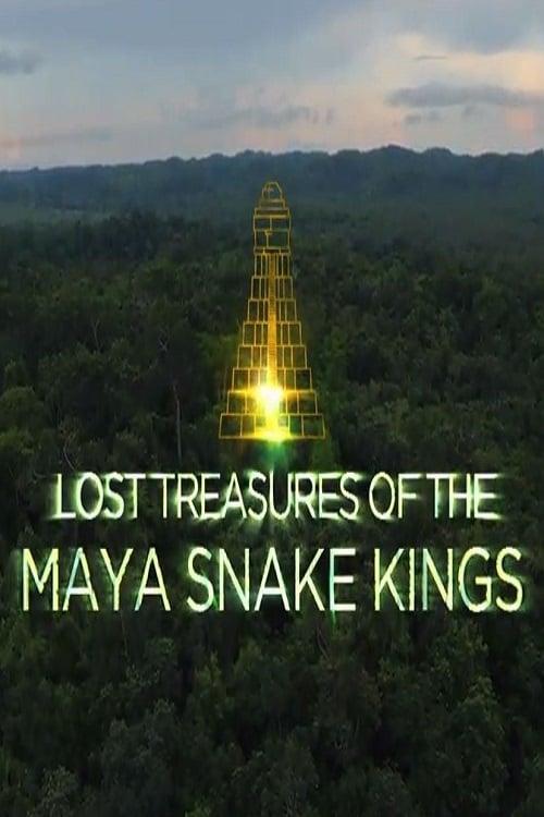 Lost Treasures of the Maya Snake Kings poster