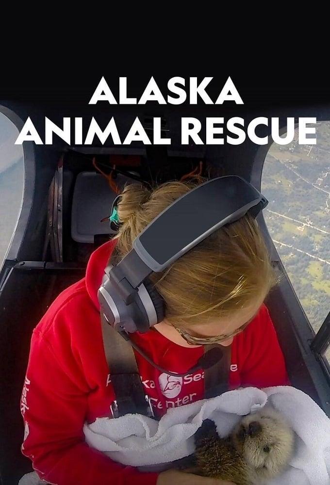 Alaska Animal Rescue poster