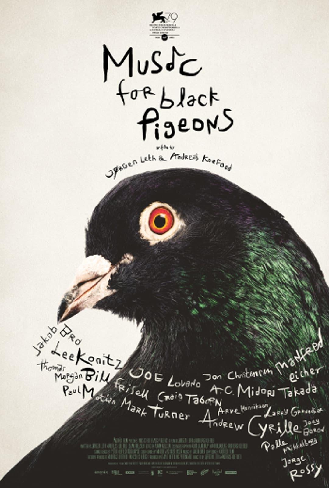 Music for Black Pigeons poster