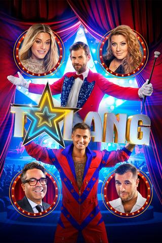 Sweden's Got Talent poster