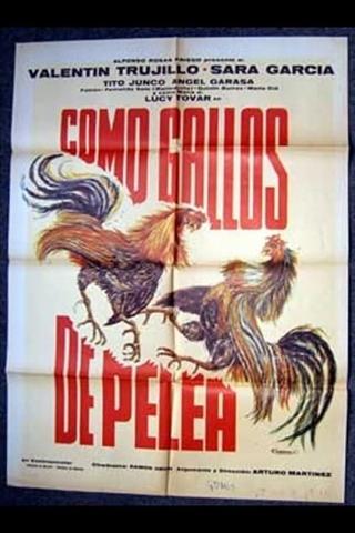 Como gallos de pelea poster