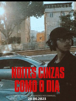 NOITES CINZAS COMO DIA poster