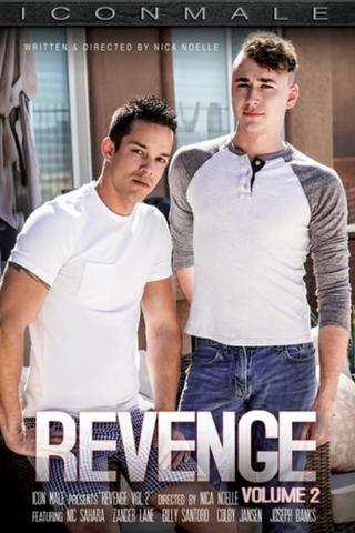 Revenge 2 poster