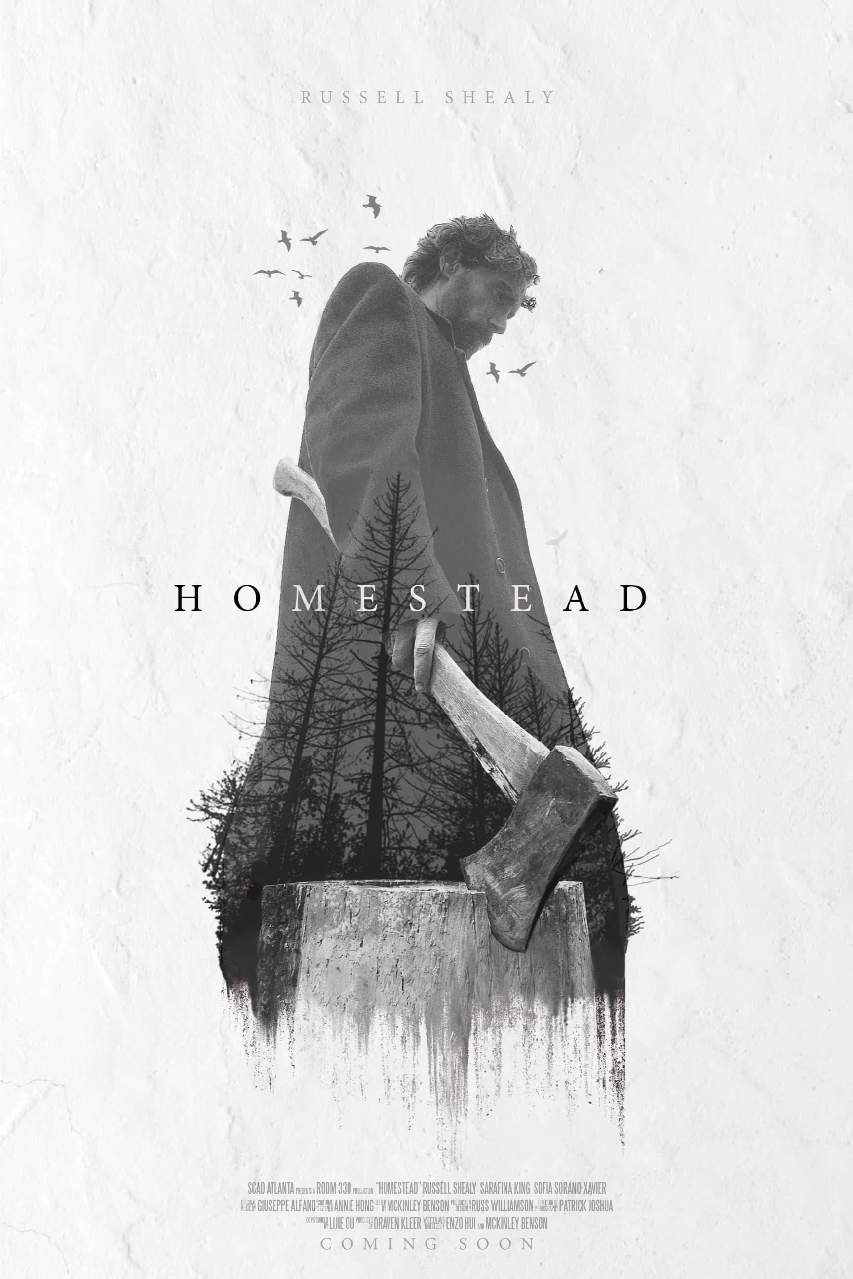 Homestead poster