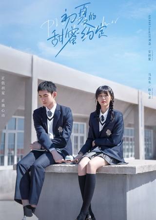 Promise in the Summer poster