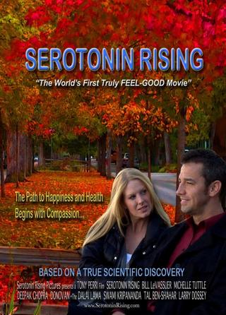 Serotonin Rising poster