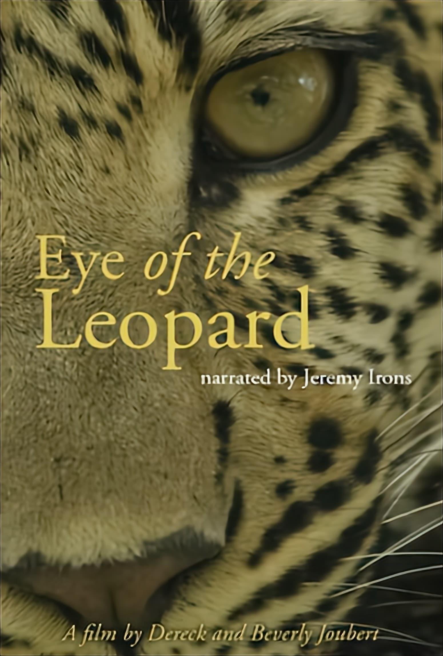 Eye of the Leopard poster