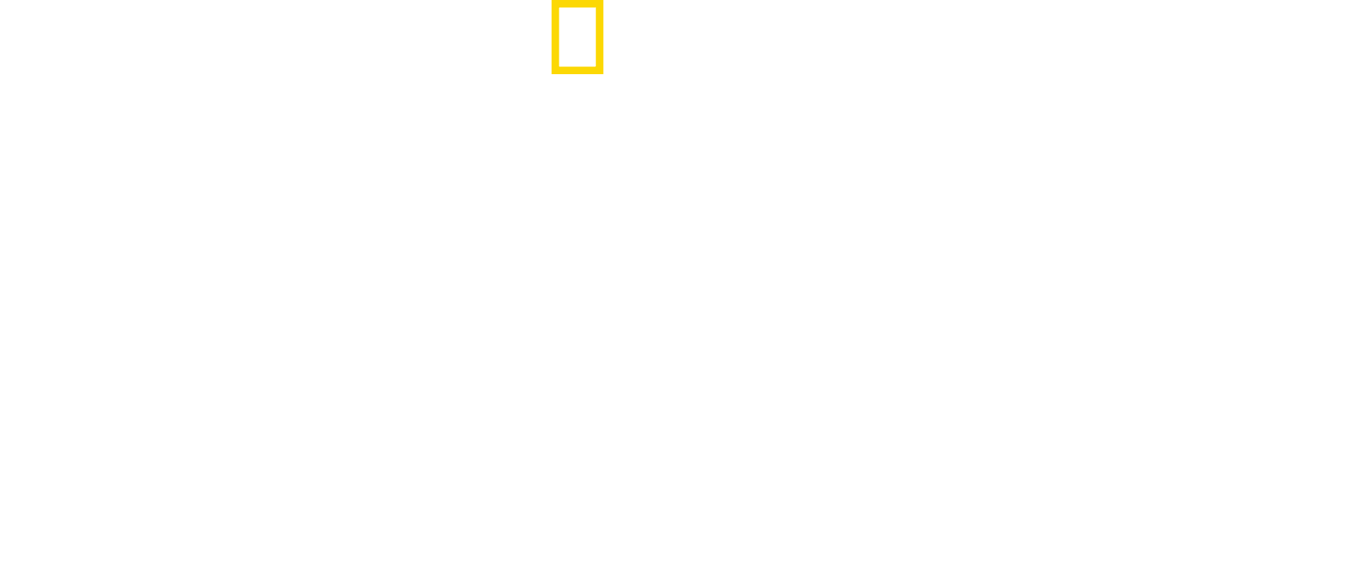 Danger Decoded logo