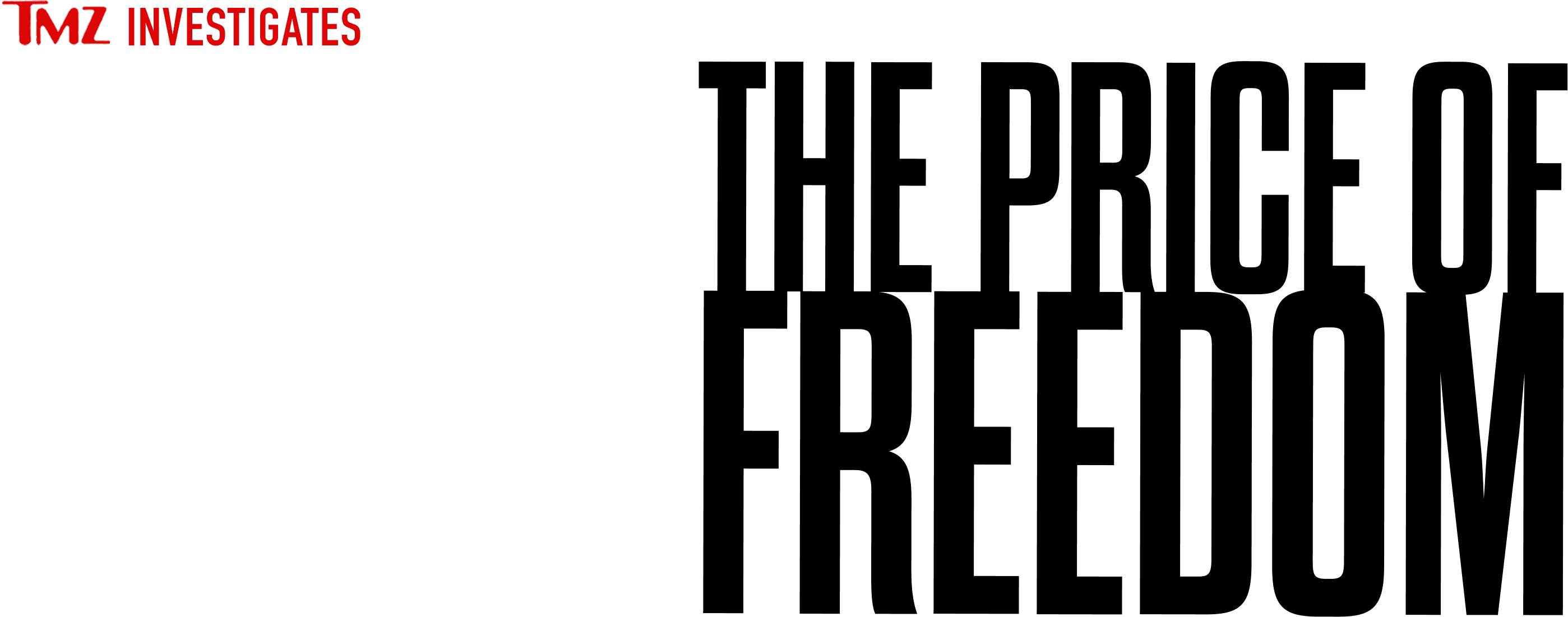 TMZ Investigates: Britney Spears: The Price of Freedom logo