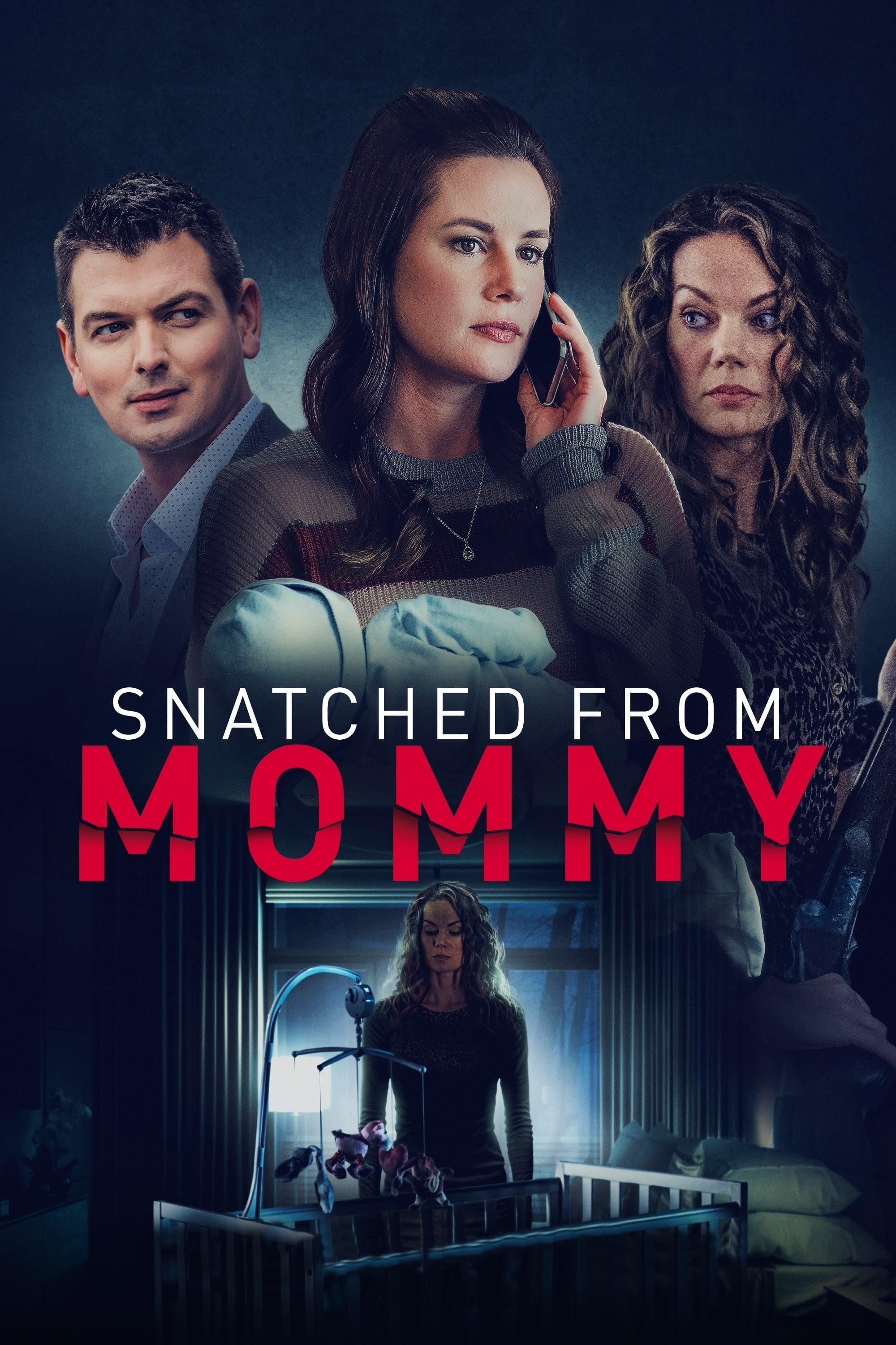 Snatched from Mommy poster