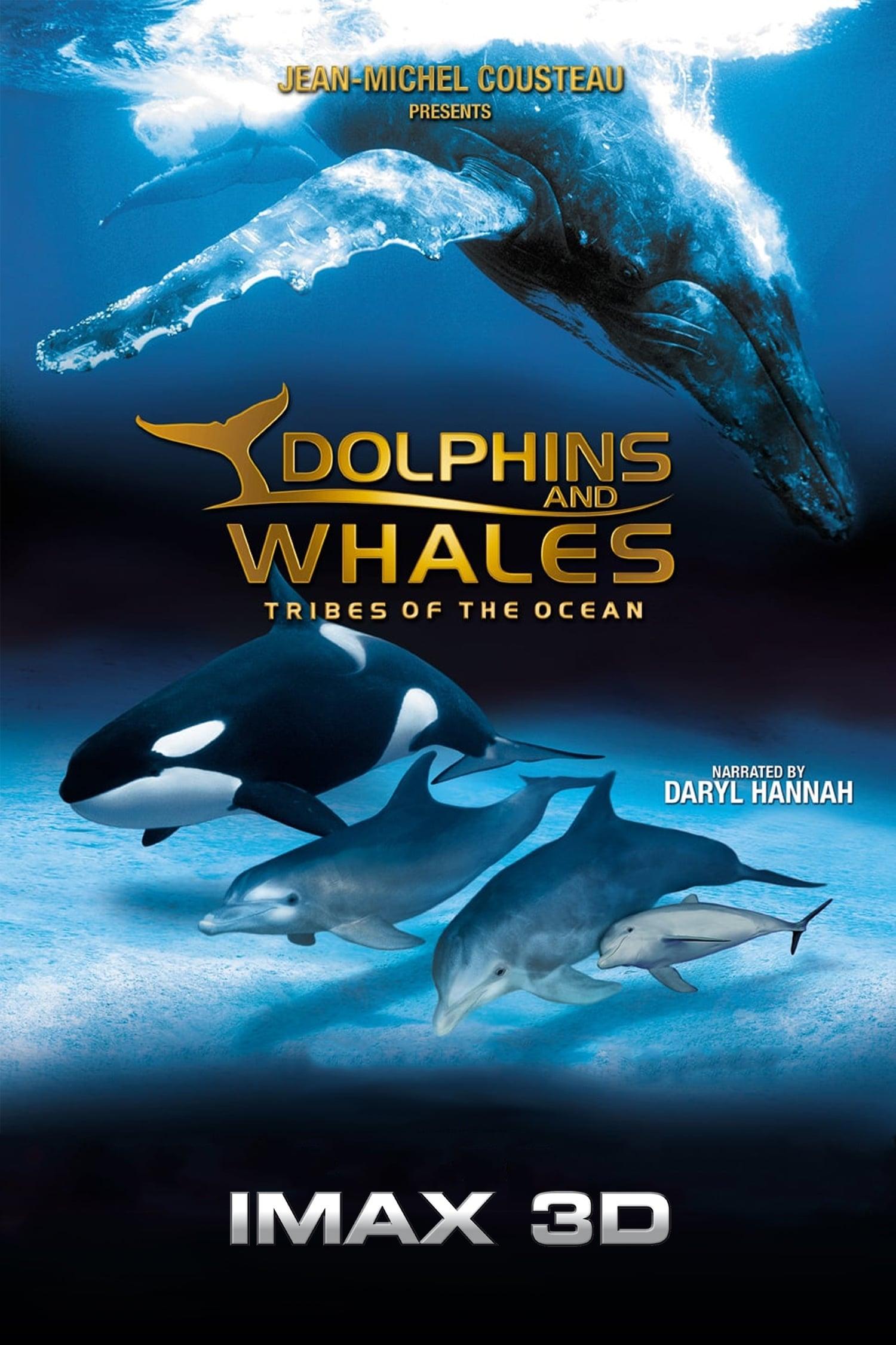 IMAX Dolphins and Whales: Tribes of the Ocean poster