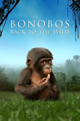 Bonobos: Back to the Wild poster