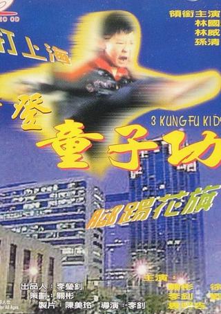 3 Kung Fu Kids poster