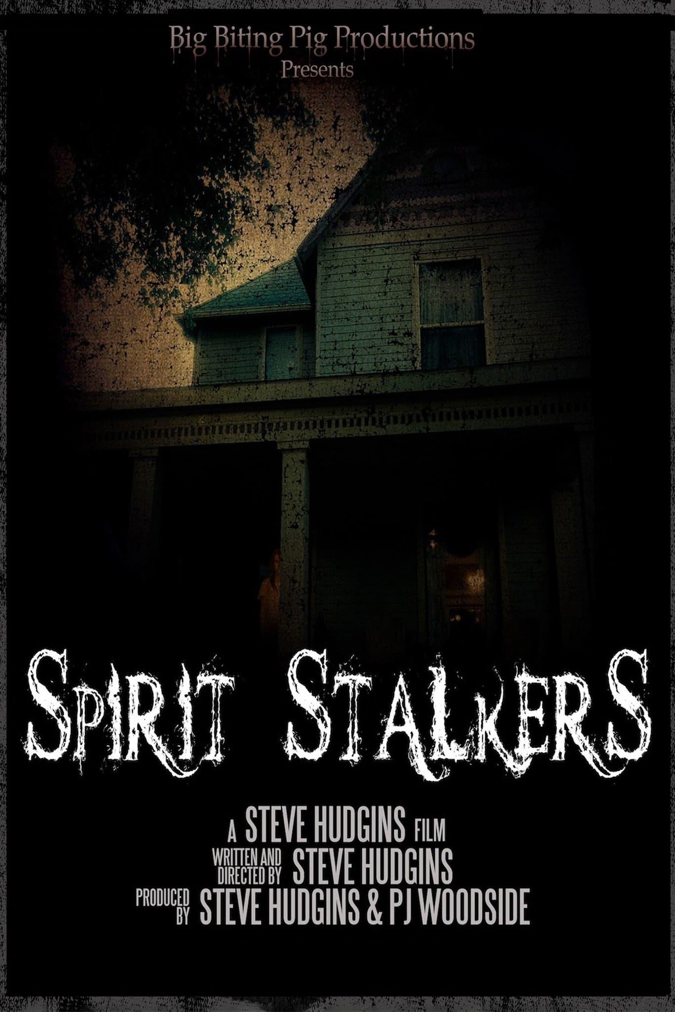 Spirit Stalkers poster