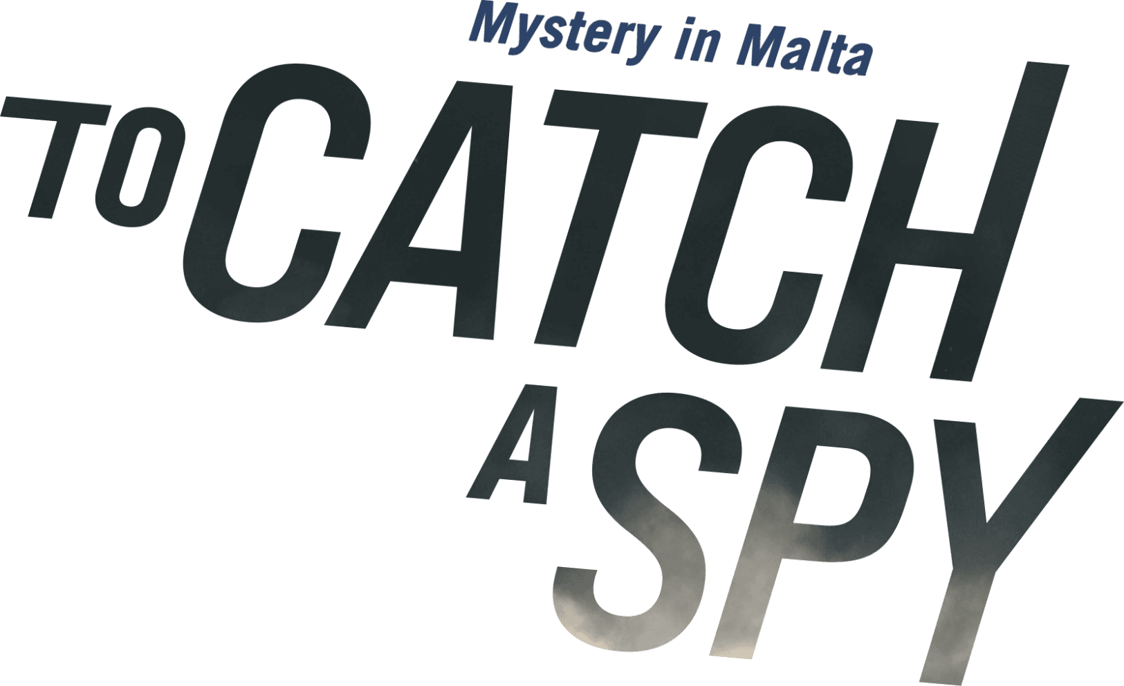 To Catch a Spy logo