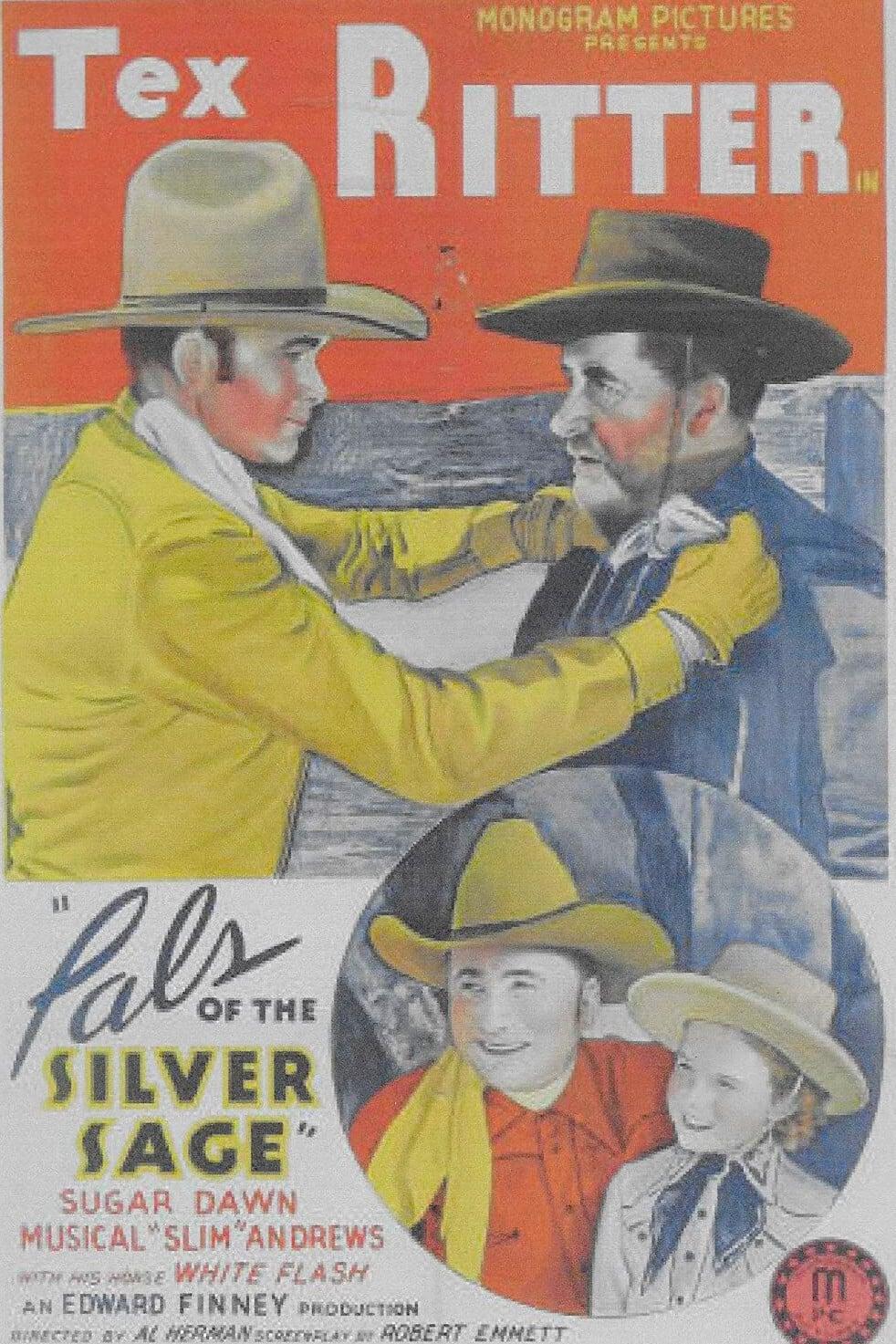 Pals of the Silver Sage poster