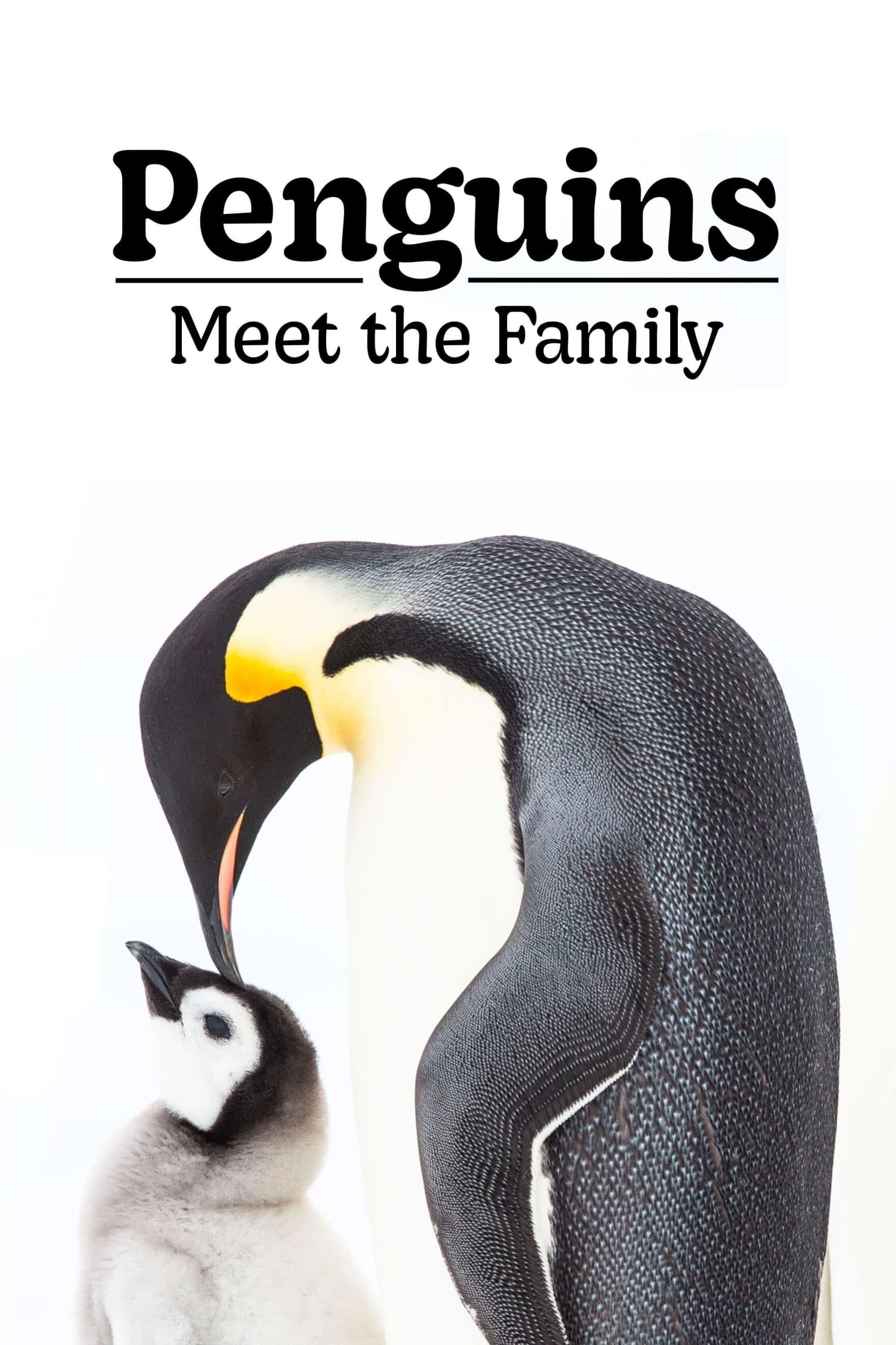 Penguins: Meet the Family poster