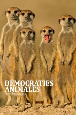 Démocraties animales poster