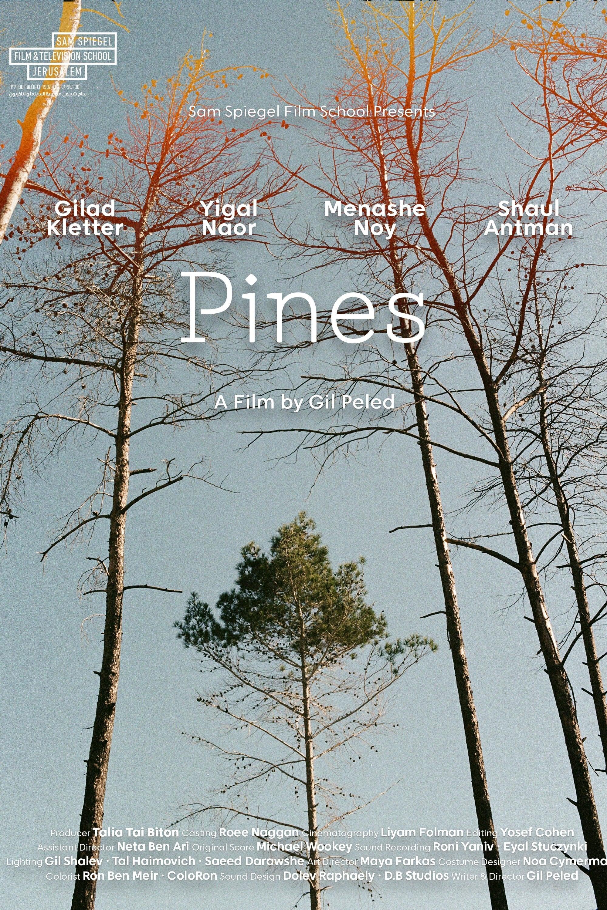 Pines poster