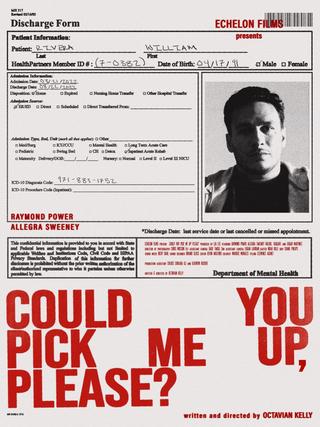 Could You Pick Me Up, Please? poster