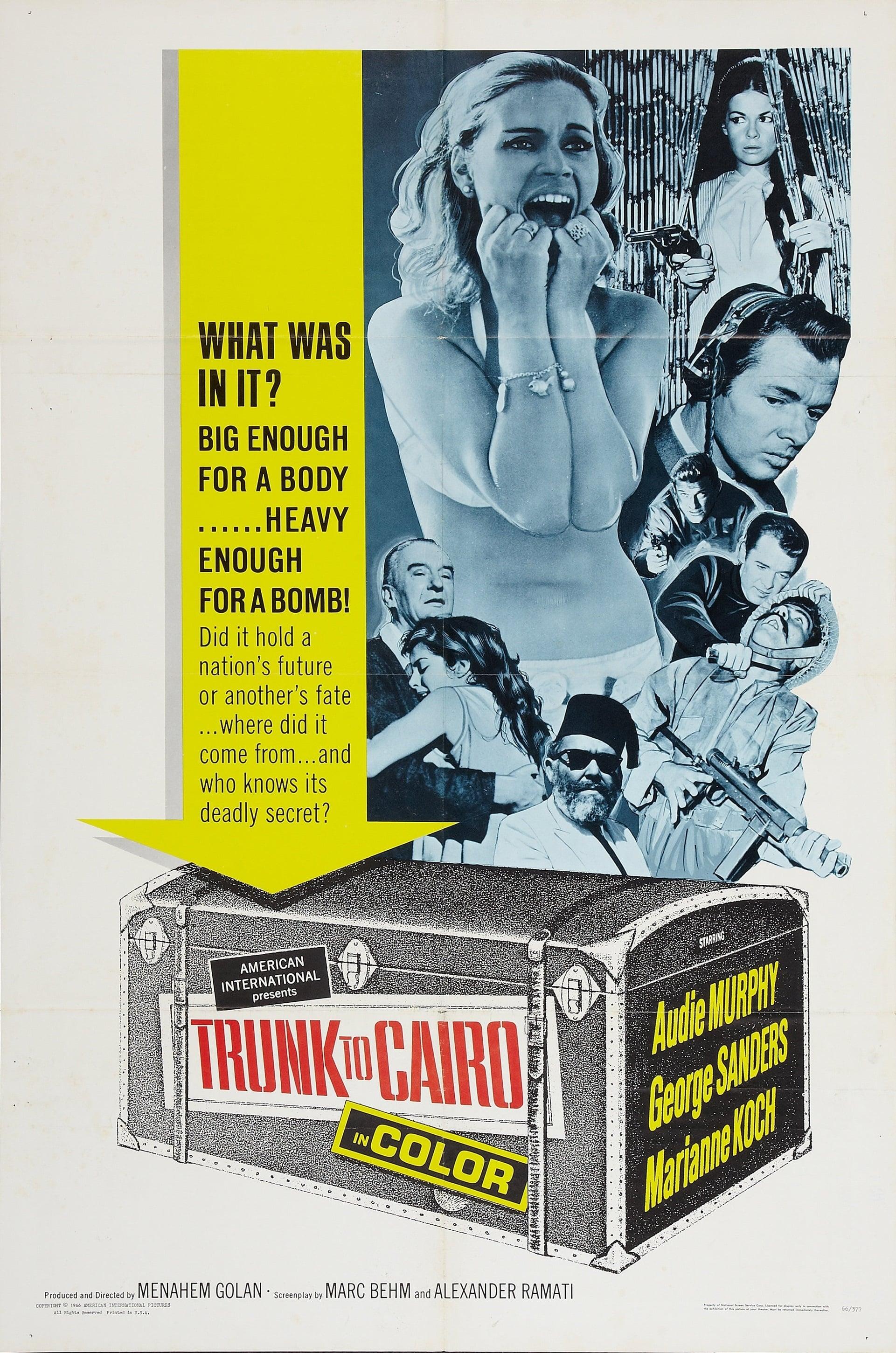 Trunk to Cairo poster